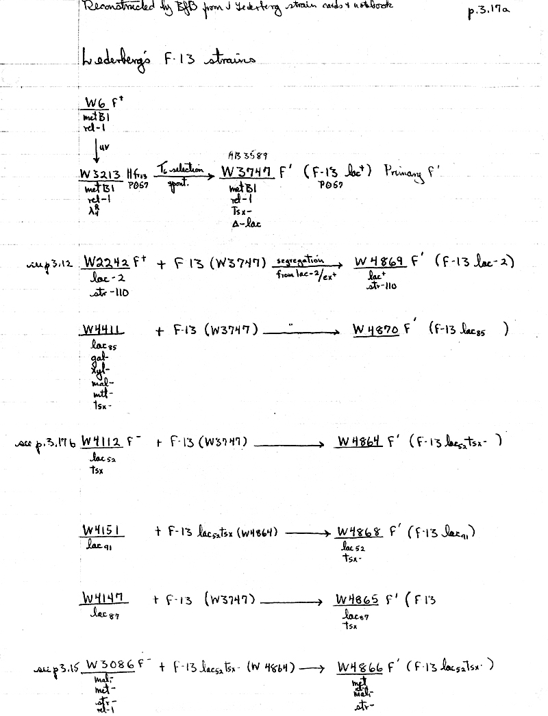 X26 BJBachmann Reconstruction p3.17a